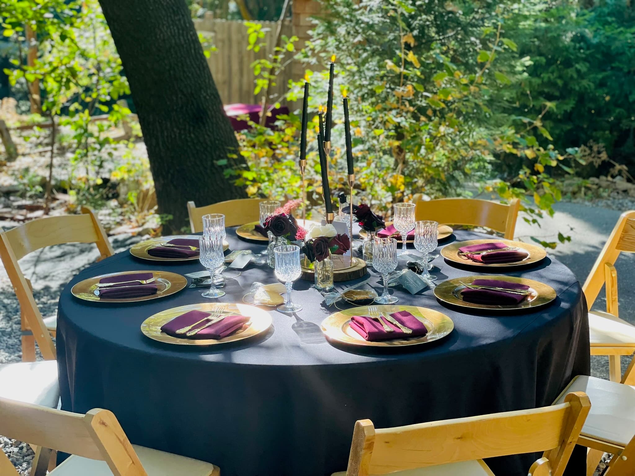 Guests gathering among the trees at a private event at Willow Woods Park