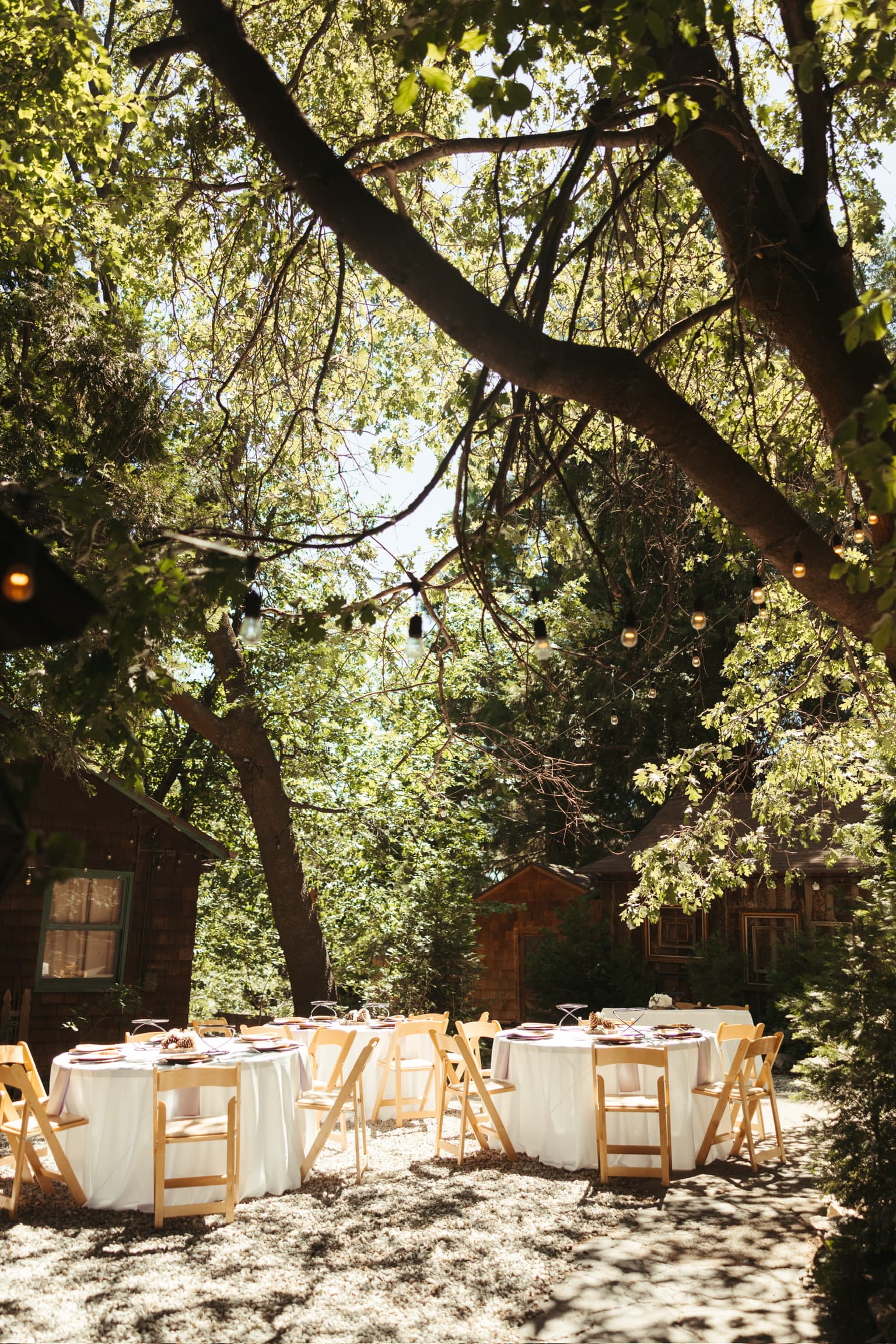 A reception at Willow Woods Park — photograph 5