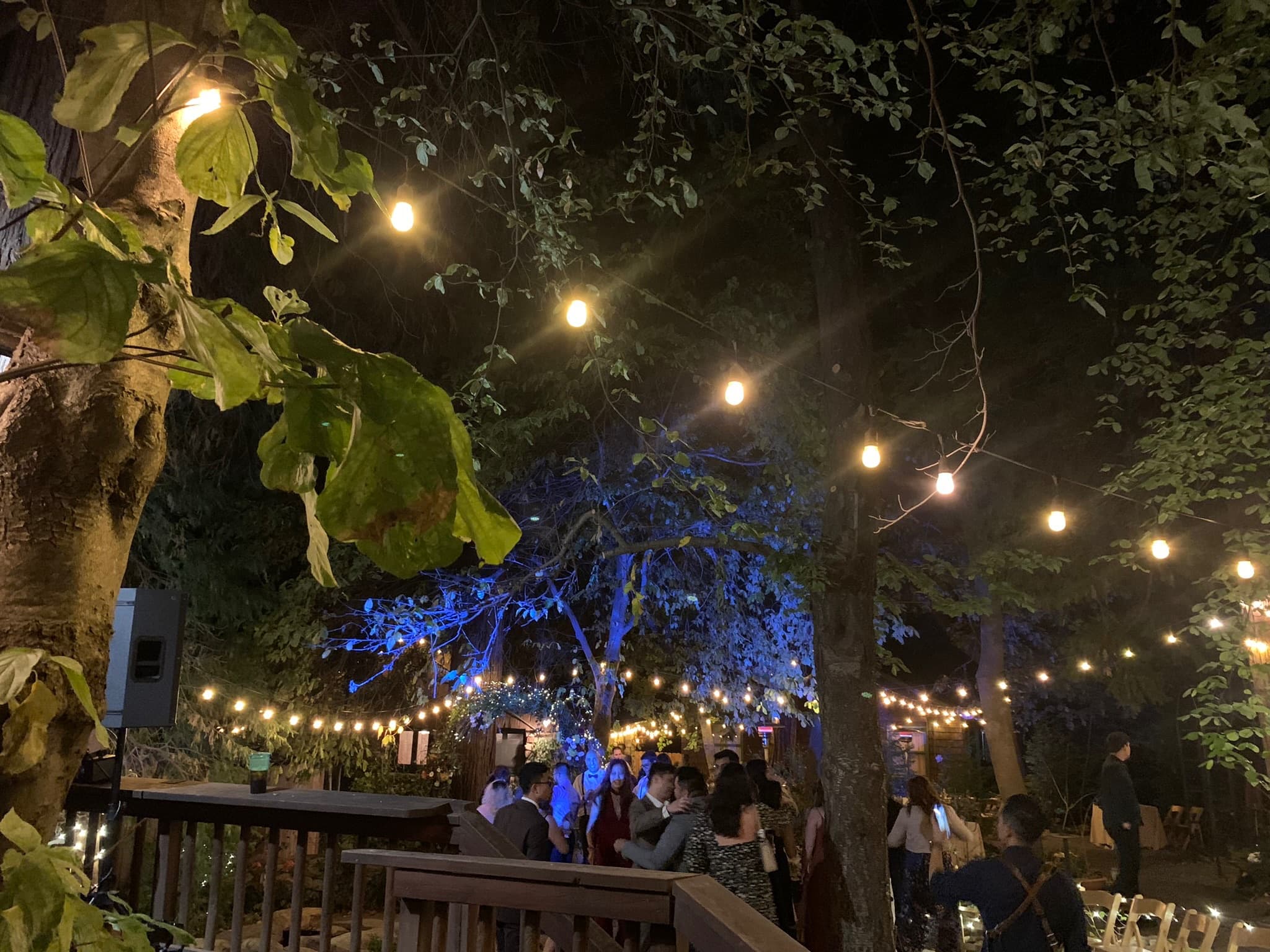A reception at Willow Woods Park — photograph 7
