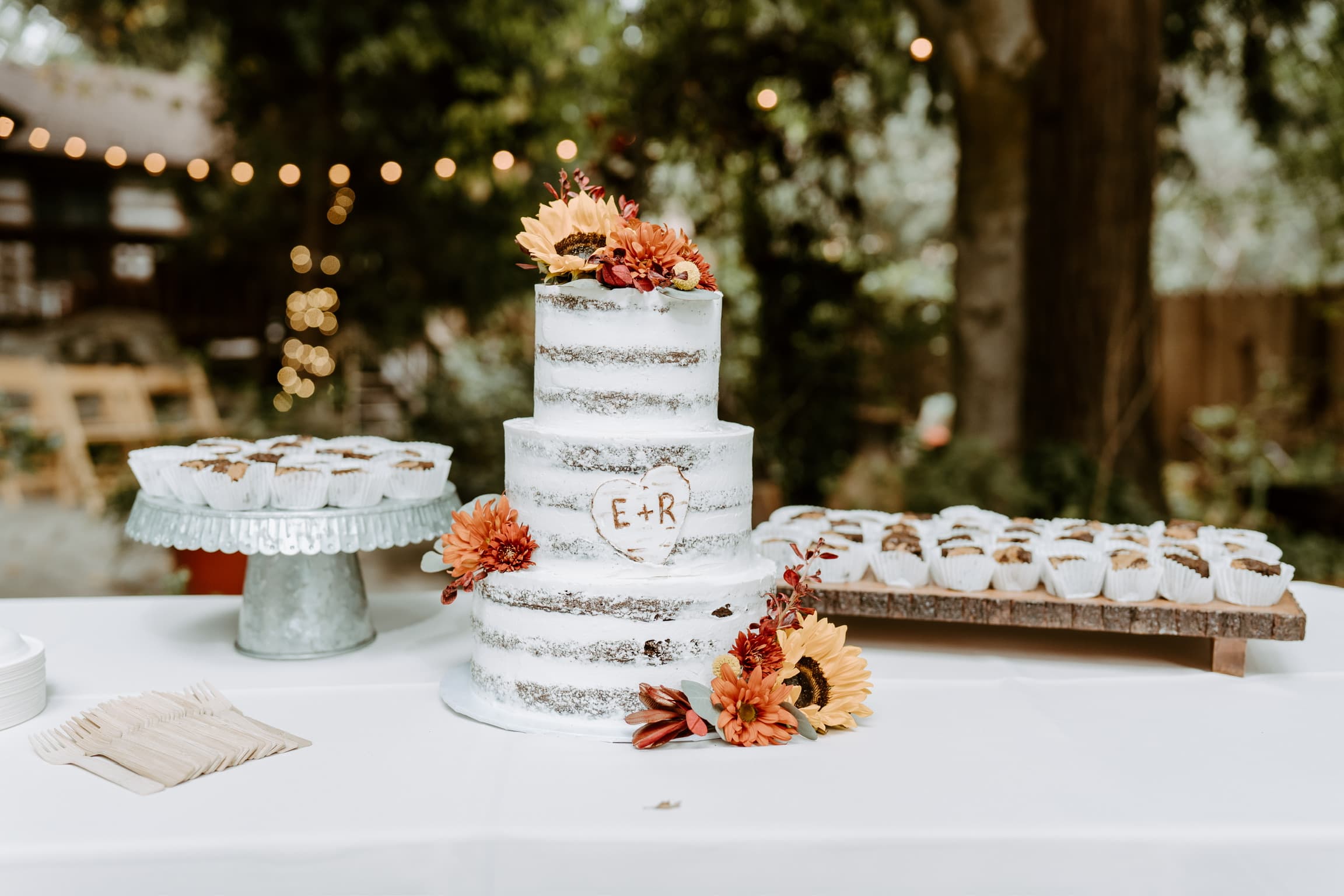 A reception at Willow Woods Park — photograph 9