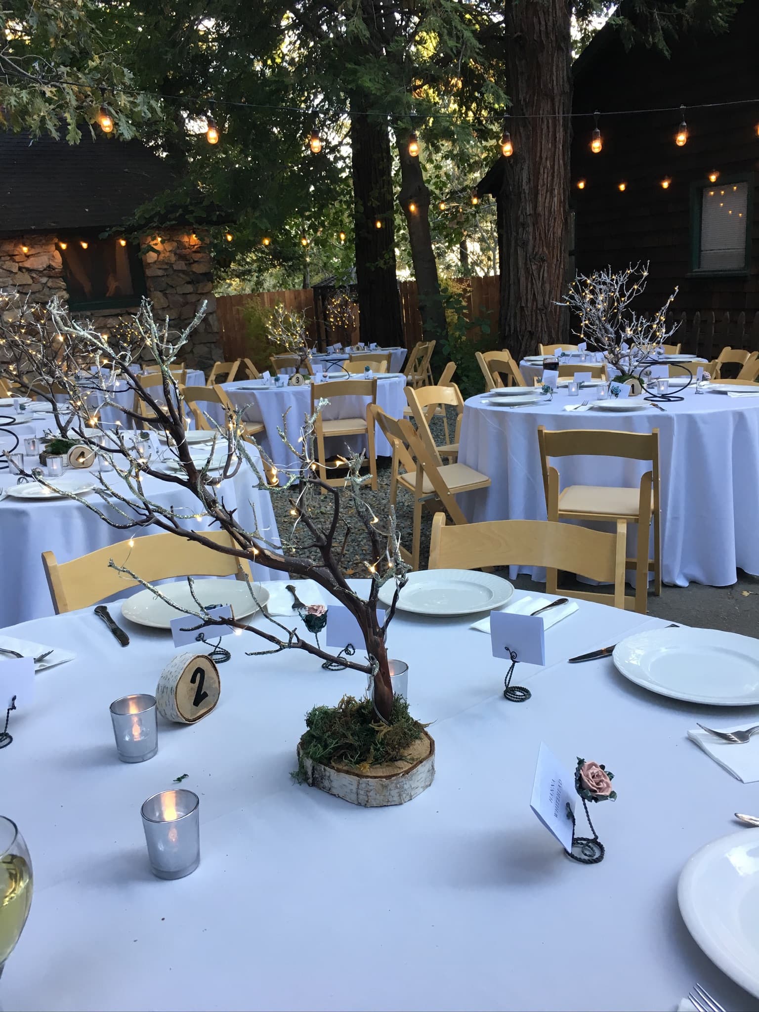 A reception at Willow Woods Park — photograph 10