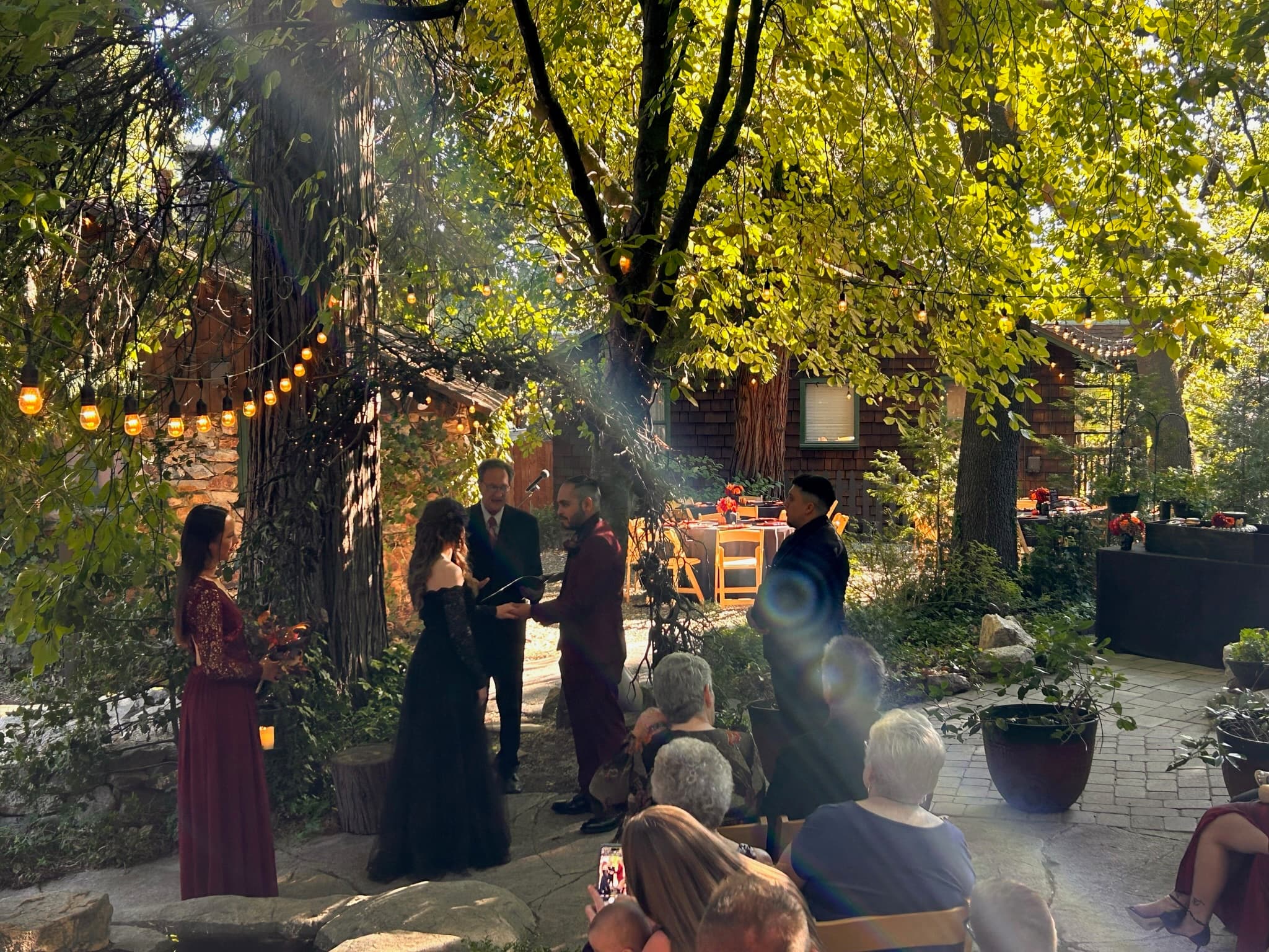 Late afternoon sunlight falling through the pines onto a wedding ceremony at Willow Woods Park